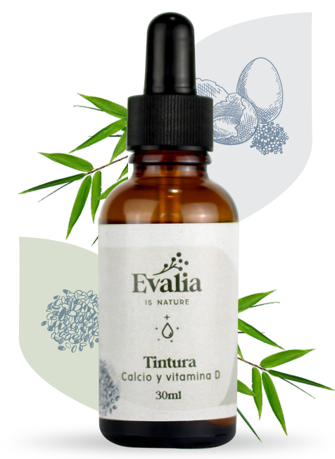 Tintura madre evalia